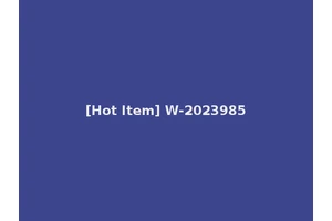 [Hot Item] W-2023985