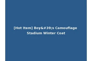 [Hot Item] Boy's Camouflage Stadium Winter Coat