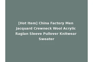 [Hot Item] China Factory Men Jacquard Crewneck Wool Acrylic Raglan Sleeve Pullover Knitwear Sweater