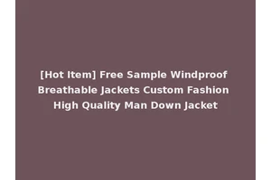 [Hot Item] Free Sample Windproof Breathable Jackets Custom Fashion High Quality Man Down Jacket