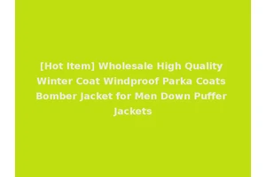 [Hot Item] Wholesale High Quality Winter Coat Windproof Parka Coats Bomber Jacket for Men Down Puffer Jackets