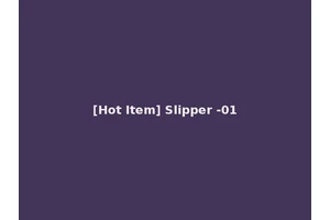[Hot Item] Slipper -01