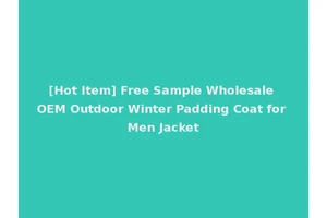 [Hot Item] Free Sample Wholesale OEM Outdoor Winter Padding Coat for Men Jacket