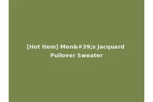 [Hot Item] Men's Jacquard Pullover Sweater