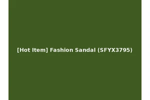 [Hot Item] Fashion Sandal (SFYX3795)