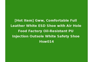 [Hot Item] Gww, Comfortable Full Leather White ESD Shoe with Air Hole Food Factory Oil-Resistant PU Injection Outsole White Safety Shoe Hsw014