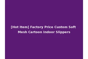 [Hot Item] Factory Price Custom Soft Mesh Cartoon Indoor Slippers