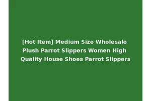 [Hot Item] Medium Size Wholesale Plush Parrot Slippers Women High Quality House Shoes Parrot Slippers