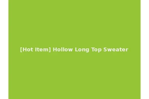 [Hot Item] Hollow Long Top Sweater