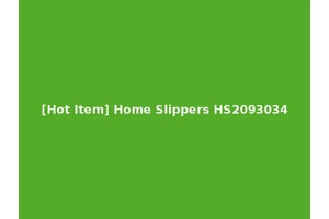 [Hot Item] Home Slippers HS2093034