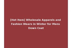 [Hot Item] Wholesale Apparels and Fashion Wears in Winter for Mens Down Coat