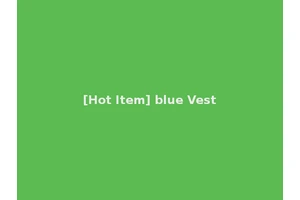 [Hot Item] blue Vest