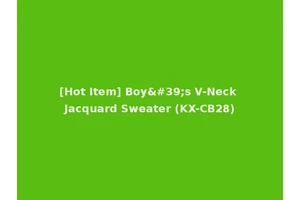 [Hot Item] Boy's V-Neck Jacquard Sweater (KX-CB28)