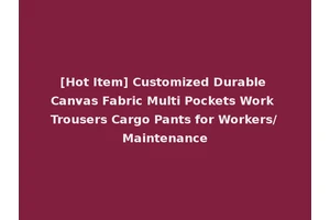 [Hot Item] Customized Durable Canvas Fabric Multi Pockets Work Trousers Cargo Pants for Workers/Maintenance