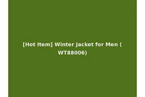 [Hot Item] Winter Jacket for Men (WT88006)