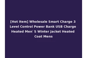 [Hot Item] Wholesale Smart Charge 3 Level Control Power Bank USB Charge Heated Men′ S Winter Jacket Heated Coat Mens