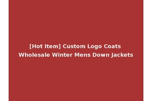 [Hot Item] Custom Logo Coats Wholesale Winter Mens Down Jackets