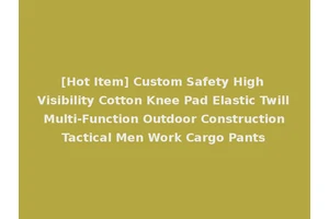 [Hot Item] Custom Safety High Visibility Cotton Knee Pad Elastic Twill Multi-Function Outdoor Construction Tactical Men Work Cargo Pants