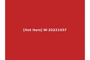[Hot Item] W-20231057