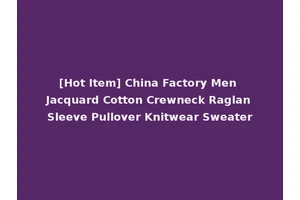 [Hot Item] China Factory Men Jacquard Cotton Crewneck Raglan Sleeve Pullover Knitwear Sweater