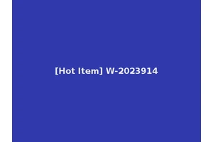 [Hot Item] W-2023914