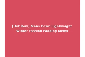 [Hot Item] Mens Down Lightweight Winter Fashion Padding Jacket