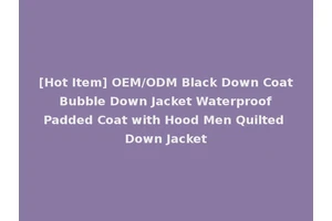 [Hot Item] OEM/ODM Black Down Coat Bubble Down Jacket Waterproof Padded Coat with Hood Men Quilted Down Jacket
