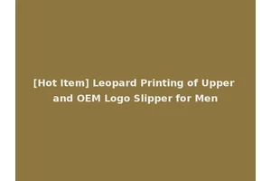 [Hot Item] Leopard Printing of Upper and OEM Logo Slipper for Men