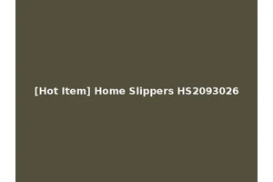 [Hot Item] Home Slippers HS2093026