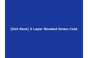 [Hot Item] 2 Layer Bonded Down Coat