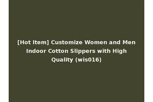 [Hot Item] Customize Women and Men Indoor Cotton Slippers with High Quality (wis016)