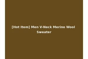 [Hot Item] Men V-Neck Merino Wool Sweater