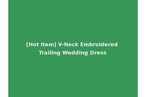 [Hot Item] V-Neck Embroidered Trailing Wedding Dress