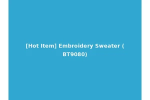 [Hot Item] Embroidery Sweater (BT9080)