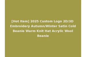 [Hot Item] 2025 Custom Logo 2D/3D Embroidery Autumn/Winter Satin Cold Beanie Warm Knit Hat Acrylic Wool Beanie