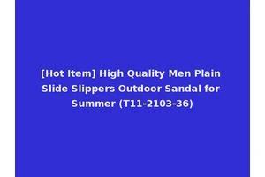 [Hot Item] High Quality Men Plain Slide Slippers Outdoor Sandal for Summer (T11-2103-36)