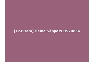 [Hot Item] Home Slippers HS20836