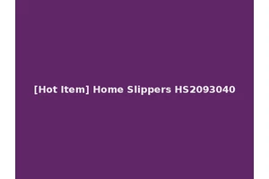 [Hot Item] Home Slippers HS2093040