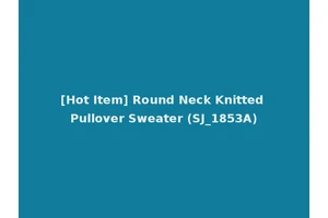 [Hot Item] Round Neck Knitted Pullover Sweater (SJ_1853A)
