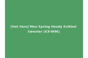[Hot Item] Men Spring Hoody Knitted Sweater (KX-W96)