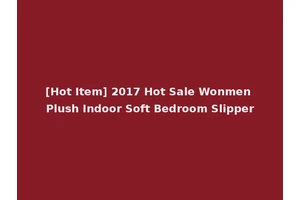 [Hot Item] 2017 Hot Sale Wonmen Plush Indoor Soft Bedroom Slipper