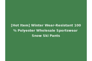 [Hot Item] Winter Wear-Resistant 100% Polyester Wholesale Sportswear Snow Ski Pants