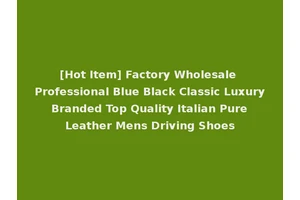 [Hot Item] Factory Wholesale Professional Blue Black Classic Luxury Branded Top Quality Italian Pure Leather Mens Driving Shoes