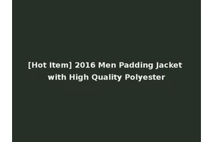 [Hot Item] 2016 Men Padding Jacket with High Quality Polyester