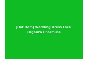[Hot Item] Wedding Dress Lace Organza Charmuse