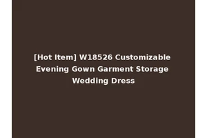 [Hot Item] W18526 Customizable Evening Gown Garment Storage Wedding Dress