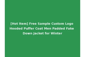[Hot Item] Free Sample Custom Logo Hooded Puffer Coat Men Padded Fake Down Jacket for Winter