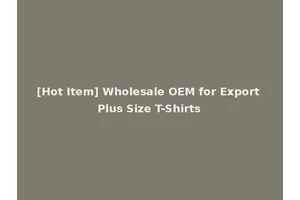 [Hot Item] Wholesale OEM for Export Plus Size T-Shirts