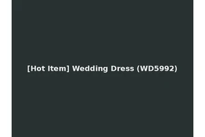 [Hot Item] Wedding Dress (WD5992)
