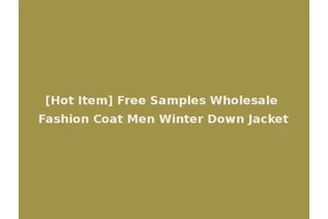[Hot Item] Free Samples Wholesale Fashion Coat Men Winter Down Jacket